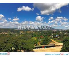 Contemporary 4 Bedroom Property for Sale in Nyambadwe Blantyre