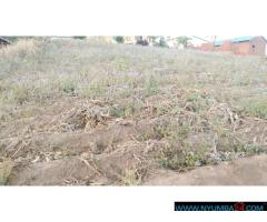 Plot for sale in ManyoweBlantyre