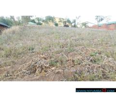 Plot for sale in ManyoweBlantyre