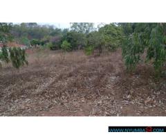 Plot for Sale in Sunnyside B