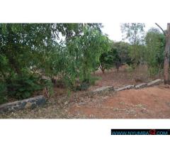 Plot for Sale in Sunnyside B